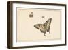 Three Butterflies (W/C & Gouache)-Herman Henstenburgh-Framed Giclee Print