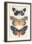 Three Butterflies-null-Framed Art Print