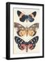 Three Butterflies-null-Framed Art Print