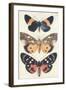Three Butterflies-null-Framed Art Print