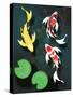 Three Butterfly Koi Fish-mduerksen-Stretched Canvas