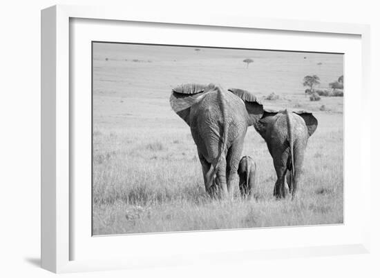 Three Butts!-Ali Khataw-Framed Photographic Print