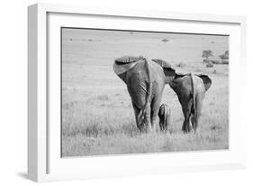 Three Butts!-Ali Khataw-Framed Photographic Print