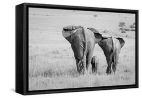 Three Butts!-Ali Khataw-Framed Stretched Canvas