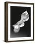 Three Calla Lilies-George Oze-Framed Photographic Print