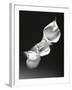 Three Calla Lilies-George Oze-Framed Photographic Print