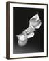 Three Calla Lilies-George Oze-Framed Photographic Print