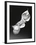 Three Calla Lilies-George Oze-Framed Photographic Print