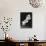Three Calla Lilies-George Oze-Mounted Photographic Print displayed on a wall