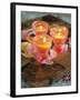 Three Candles and Rose Petals on a Table-Alena Hrbkova-Framed Photographic Print