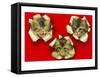 Three Cats Poking Through Paper-null-Framed Stretched Canvas