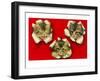 Three Cats Poking Through Paper-null-Framed Art Print