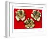 Three Cats Poking Through Paper-null-Framed Art Print