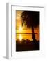 Three Chairs at Sunset - Florida-Philippe Hugonnard-Framed Photographic Print