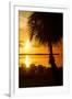 Three Chairs at Sunset - Florida-Philippe Hugonnard-Framed Premium Photographic Print