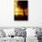 Three Chairs at Sunset - Florida-Philippe Hugonnard-Photographic Print displayed on a wall