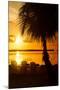 Three Chairs at Sunset - Florida-Philippe Hugonnard-Mounted Photographic Print