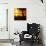 Three Chairs at Sunset - Florida-Philippe Hugonnard-Photographic Print displayed on a wall