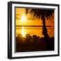 Three Chairs at Sunset - Florida-Philippe Hugonnard-Framed Premium Photographic Print