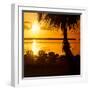 Three Chairs at Sunset - Florida-Philippe Hugonnard-Framed Premium Photographic Print