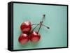 Three Cherries on a Green Background-Karen M^ Romanko-Framed Stretched Canvas