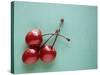 Three Cherries on a Green Background-Karen M^ Romanko-Stretched Canvas