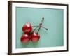 Three Cherries on a Green Background-Karen M^ Romanko-Framed Photographic Print