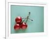 Three Cherries on a Green Background-Karen M^ Romanko-Framed Photographic Print