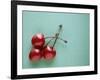 Three Cherries on a Green Background-Karen M^ Romanko-Framed Photographic Print