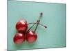 Three Cherries on a Green Background-Karen M^ Romanko-Mounted Photographic Print