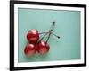 Three Cherries on a Green Background-Karen M^ Romanko-Framed Photographic Print