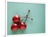 Three Cherries on a Green Background-Karen M^ Romanko-Framed Photographic Print