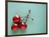 Three Cherries on a Green Background-Karen M^ Romanko-Framed Photographic Print