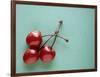 Three Cherries on a Green Background-Karen M^ Romanko-Framed Photographic Print