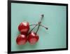 Three Cherries on a Green Background-Karen M^ Romanko-Framed Photographic Print