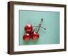 Three Cherries on a Green Background-Karen M^ Romanko-Framed Photographic Print