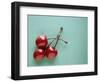 Three Cherries on a Green Background-Karen M^ Romanko-Framed Photographic Print