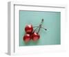 Three Cherries on a Green Background-Karen M^ Romanko-Framed Photographic Print