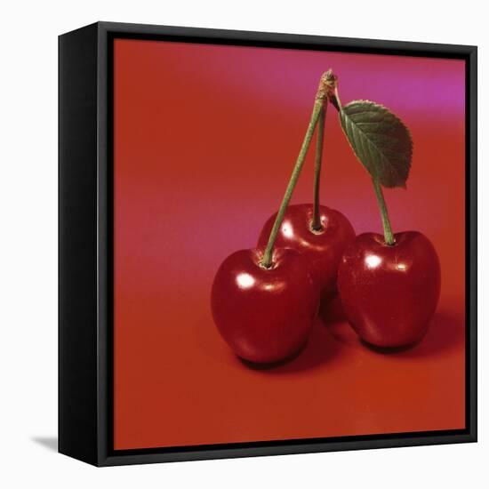 Three Cherries-Bodo A^ Schieren-Framed Stretched Canvas