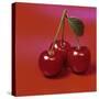 Three Cherries-Bodo A^ Schieren-Stretched Canvas