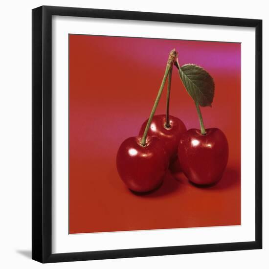 Three Cherries-Bodo A^ Schieren-Framed Photographic Print