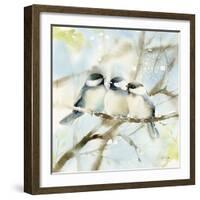 Three Chickadees in Spring Sq-Katrina Pete-Framed Art Print