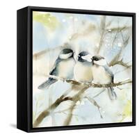 Three Chickadees in Spring Sq-Katrina Pete-Framed Stretched Canvas