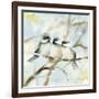 Three Chickadees in Spring Sq-Katrina Pete-Framed Art Print