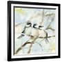 Three Chickadees in Spring Sq-Katrina Pete-Framed Art Print