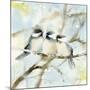 Three Chickadees in Spring Sq-Katrina Pete-Mounted Art Print