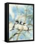 Three Chickadees-Katrina Pete-Framed Stretched Canvas