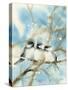 Three Chickadees-Katrina Pete-Stretched Canvas
