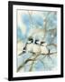 Three Chickadees-Katrina Pete-Framed Art Print