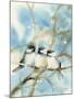 Three Chickadees-Katrina Pete-Mounted Art Print